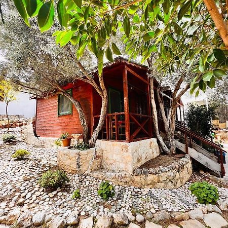 Ata Bungalow Panzió Kaş Kültér fotó