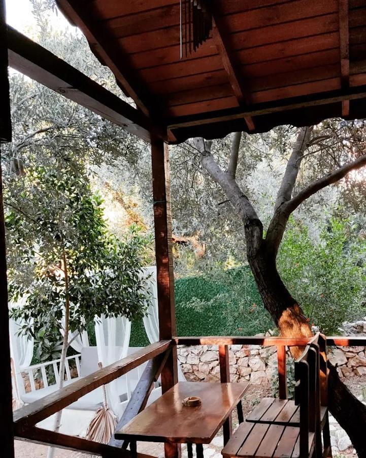 Ata Bungalow Panzió Kaş Kültér fotó
