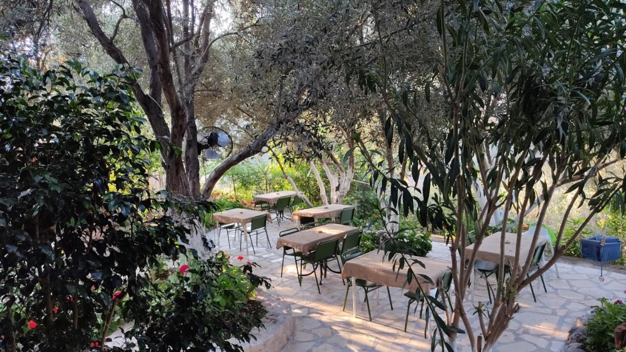 Ata Bungalow Panzió Kaş Kültér fotó